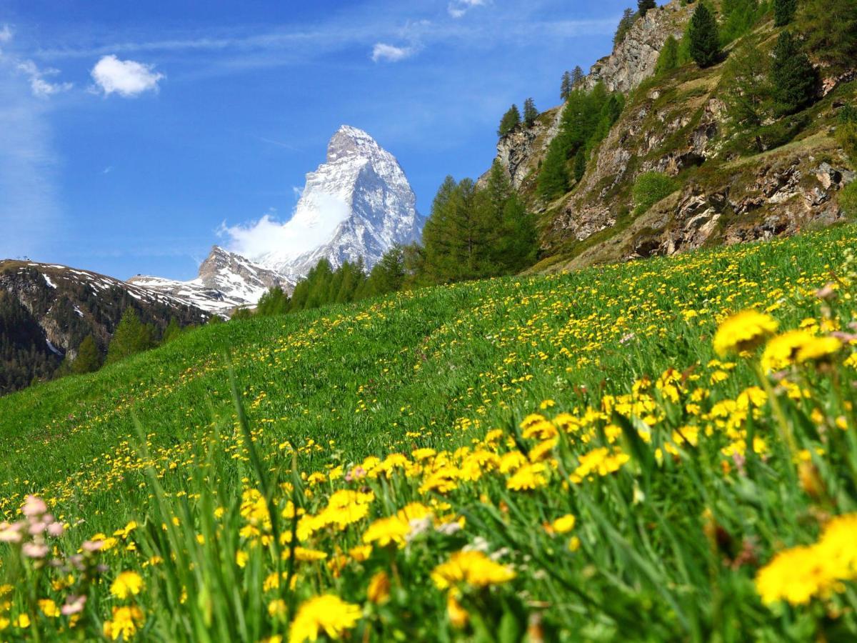 Lauberhaus Apartment Zermatt